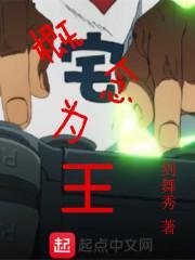 概念之王视频包