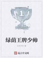 绿茵王牌少帅免费阅读