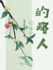 红楼中的路人全文免费阅读