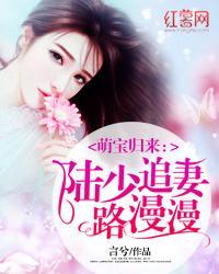 萌宝来袭陆少别太坏