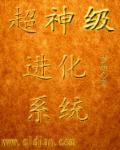 超神进化全集