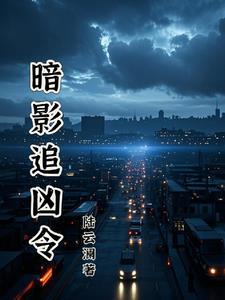 暗夜追凶讲的什么